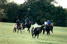Ireland-Offaly-Offaly Equestrian Center